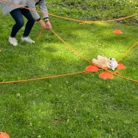 teambuilding teamaufgabe